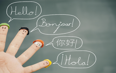 multi-lingual marketing consultancy